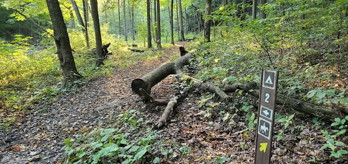 Mohican State Park - Backpack Campsite #2 5