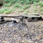 Mohican State Park - Backpack Campsite #2