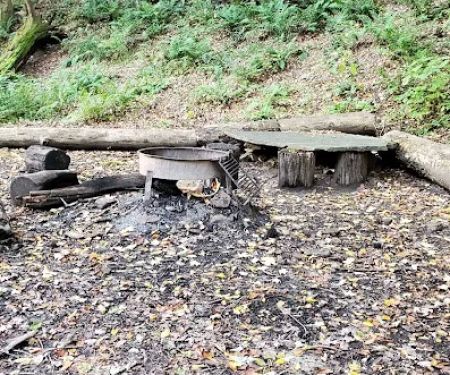 Mohican State Park - Backpack Campsite #2