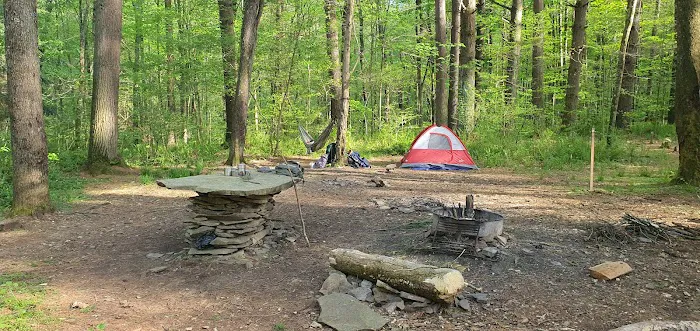 Mohican-Memorial State Forest - Backpack Campsite #3 1