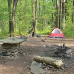 Mohican-Memorial State Forest - Backpack Campsite #3