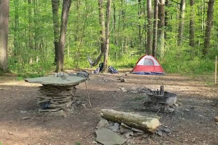 Mohican-Memorial State Forest - Backpack Campsite #3