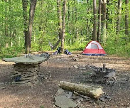 Mohican-Memorial State Forest - Backpack Campsite #3