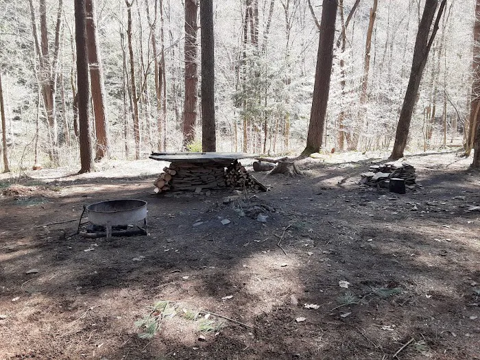 Mohican-Memorial State Forest - Backpack Campsite #3 8