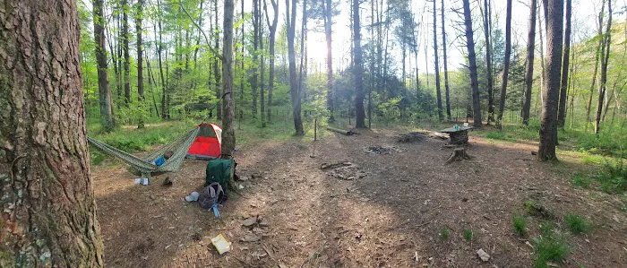 Mohican-Memorial State Forest - Backpack Campsite #3 2