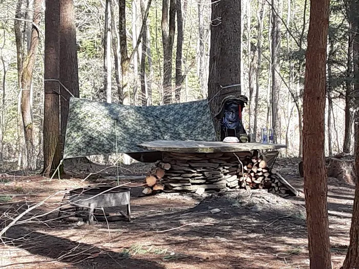 Mohican-Memorial State Forest - Backpack Campsite #3 4