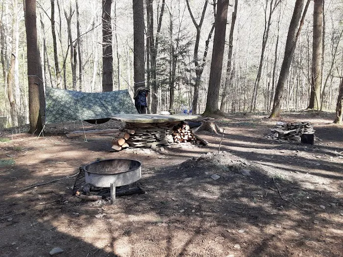 Mohican-Memorial State Forest - Backpack Campsite #3 7