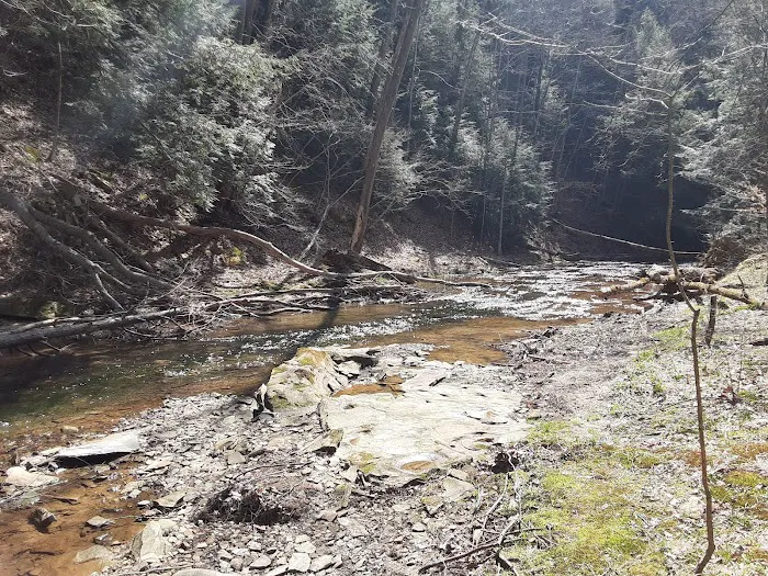 Mohican-Memorial State Forest - Backpack Campsite #3 3
