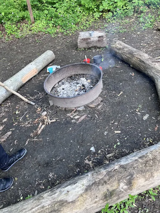 Mohican State Park - Backpack Campsite #6 5