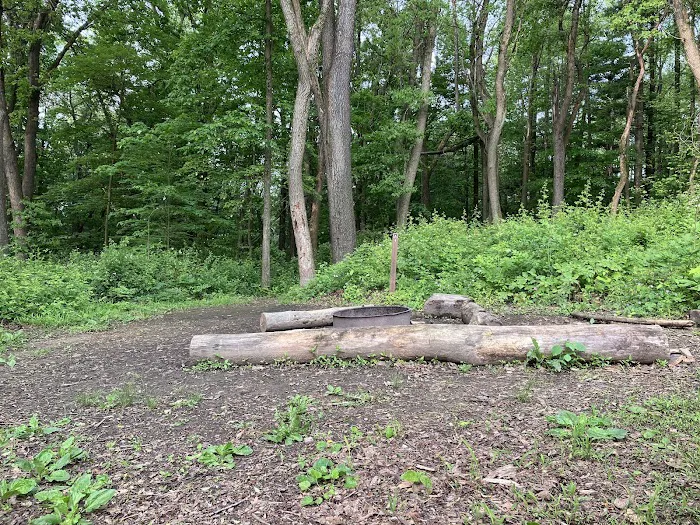 Mohican State Park - Backpack Campsite #6 3