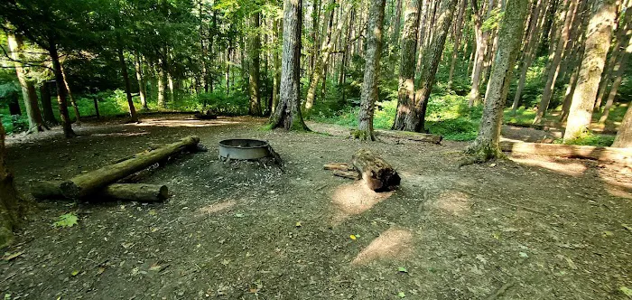 Mohican State Park - Back Pack Campsite #5 2