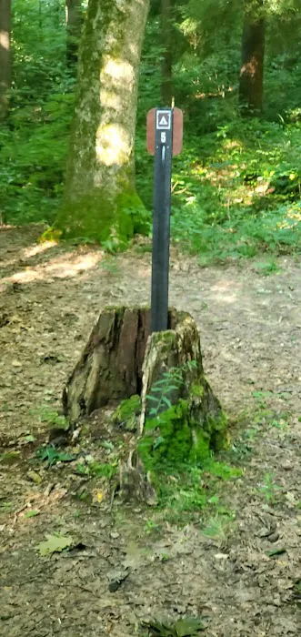 Mohican State Park - Back Pack Campsite #5 1