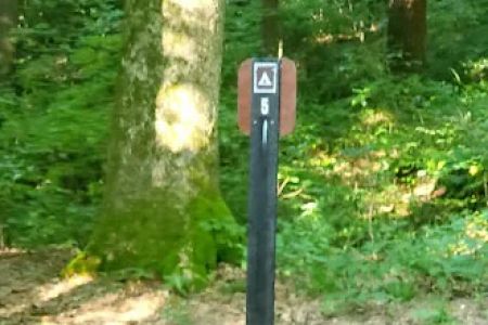 Mohican State Park - Back Pack Campsite #5