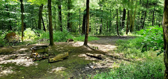 Mohican State Park - Backpack Campsite #8 1