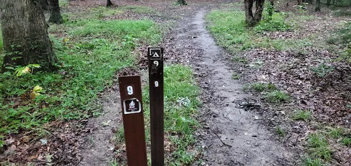 Mohican State Park - Backpack Campsite #9 1