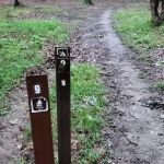 Mohican State Park - Backpack Campsite #9