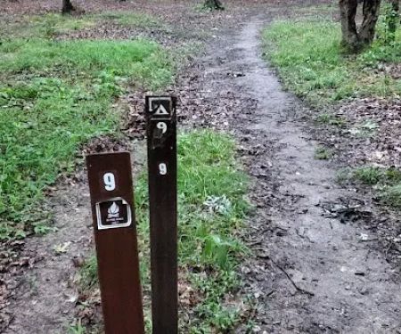 Mohican State Park - Backpack Campsite #9