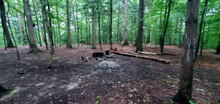 Mohican State Park - Backpack Campsite #9 2