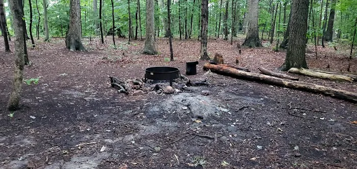 Mohican State Park - Backpack Campsite #9 3