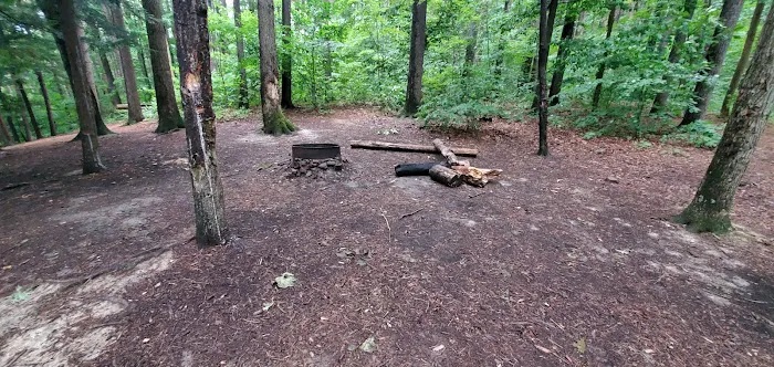 Mohican State Park - Backpack Campsite #10 2