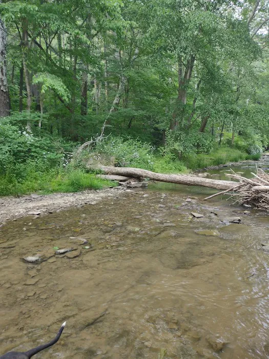 Mohican State Park - Backpack Campsite #10 10