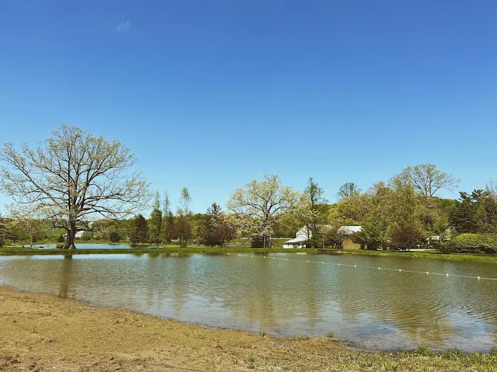 Sunset Springs Camp & Event Center 9