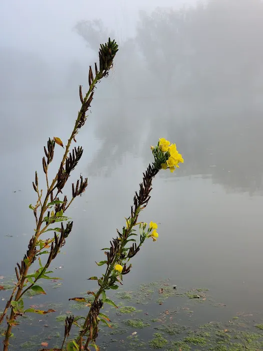 Terrace Lakes Campground 5
