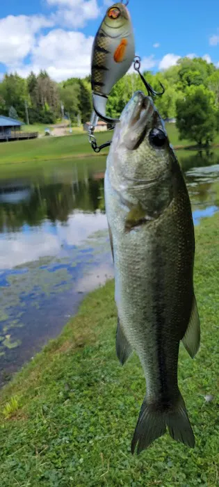 Terrace Lakes Campground 3