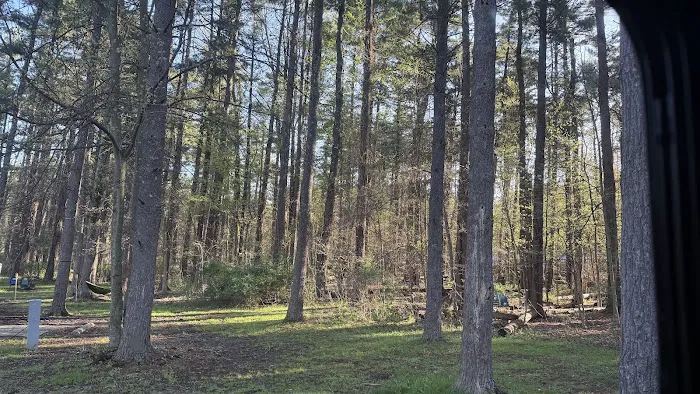 Findley State Park Campground 9