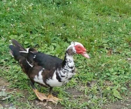 Hidden Acres Campground