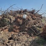 Harbourtown Mobile Home Community