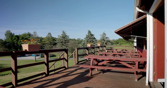 Camp HiYo! 3