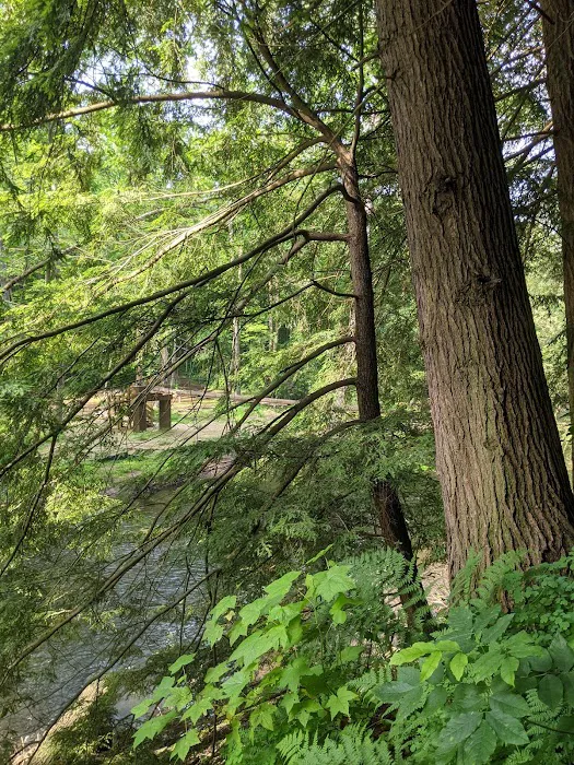Mohican State Park Campground 8