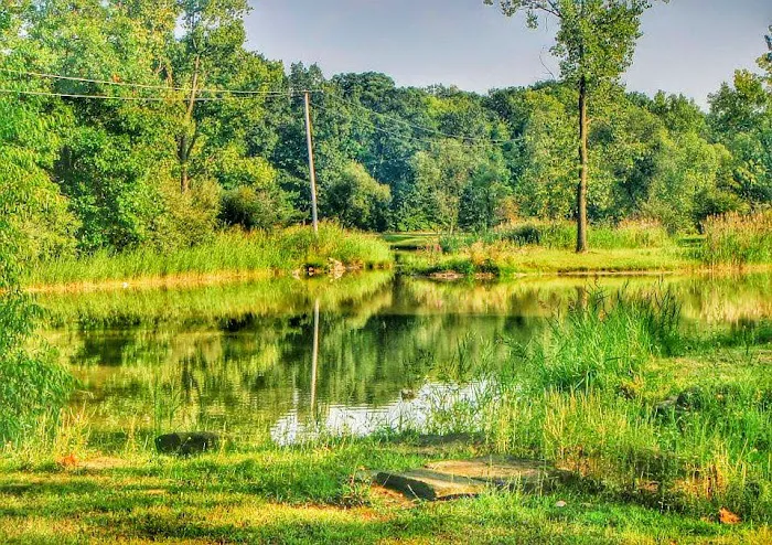 Camp Lord Willing RV Park 4