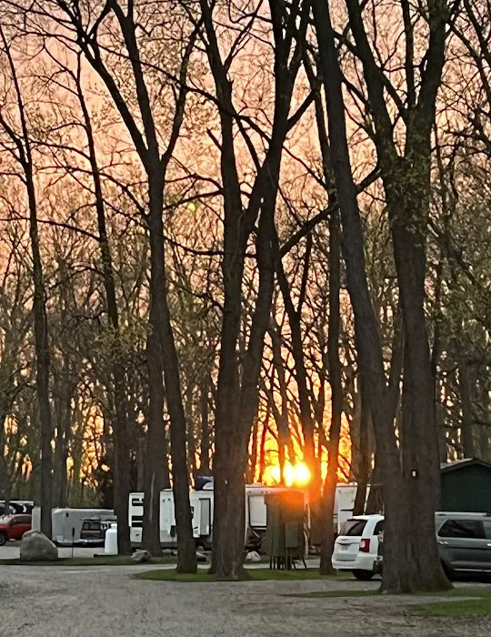River Raisin Marina & Campground 10