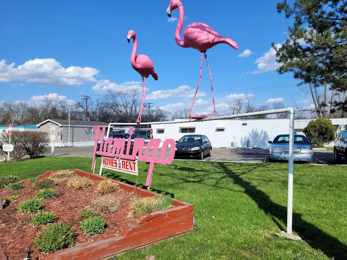 Elevate Flamingo MHC 5