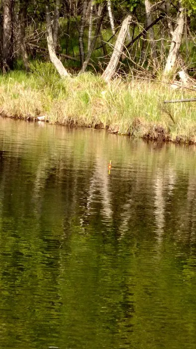 Horseshoe Lake Campground 6