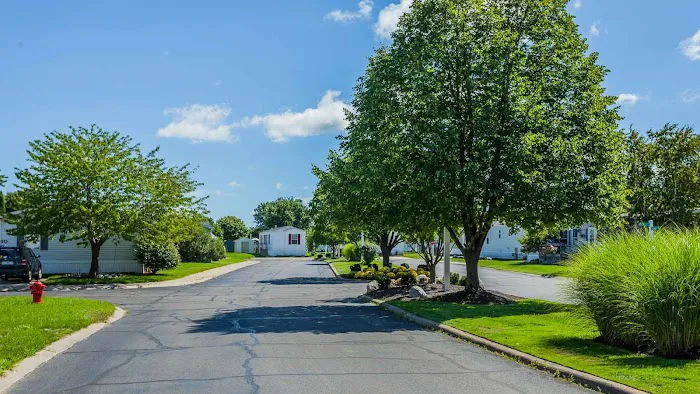 Sheffield Estates 2