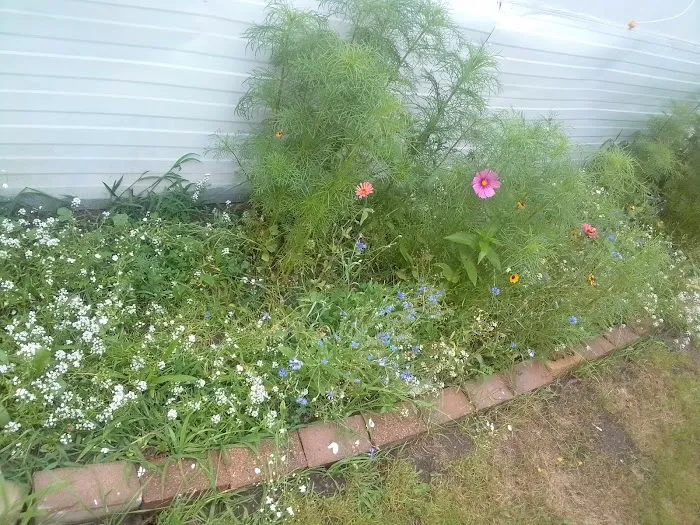 Old Orchard Mobile Home Park 3