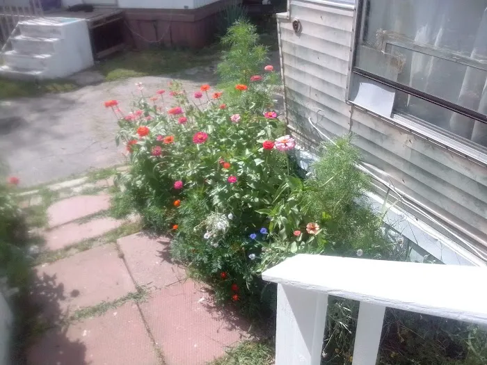Old Orchard Mobile Home Park 5