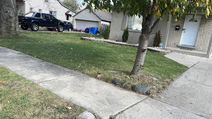 Westland Meadows 6