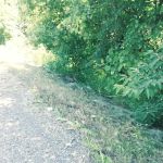 Riverview Trailer Park