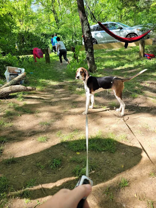 Primitive Camping Area 10