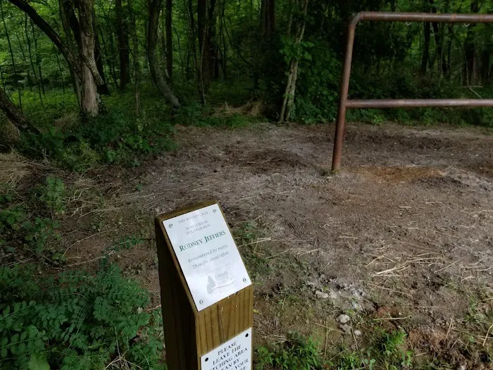 Primitive Camping Area 6