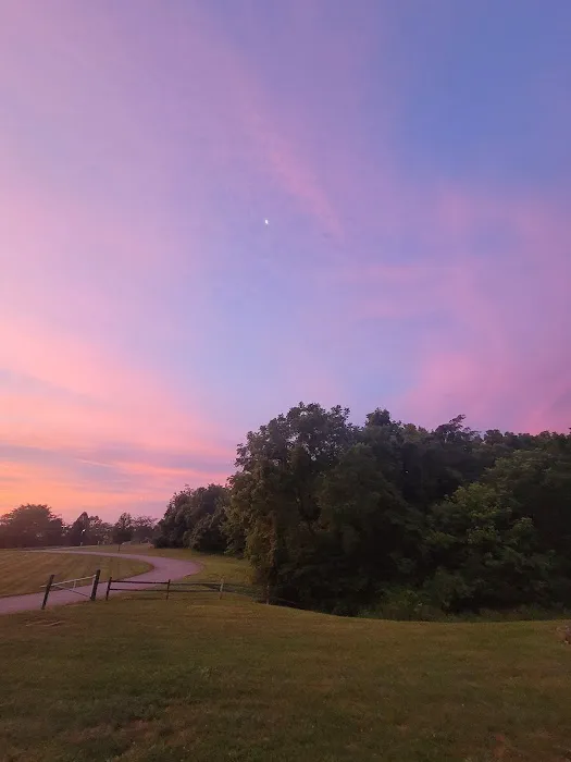 Taylorsville Lake Campground 4