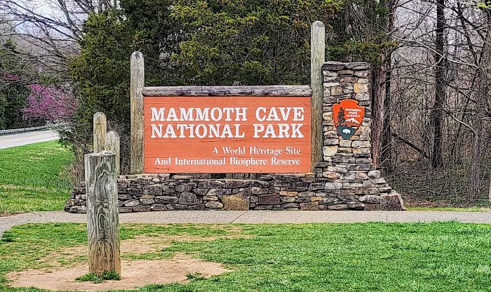 Mammoth Cave Campground 6
