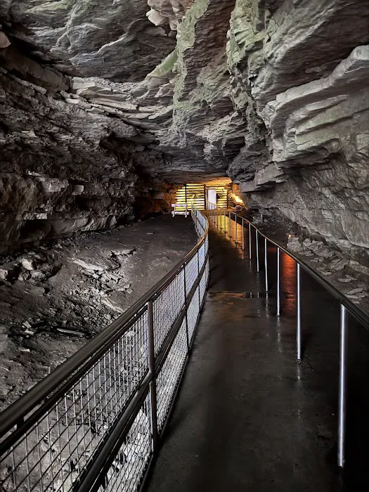 Mammoth Cave Campground 1