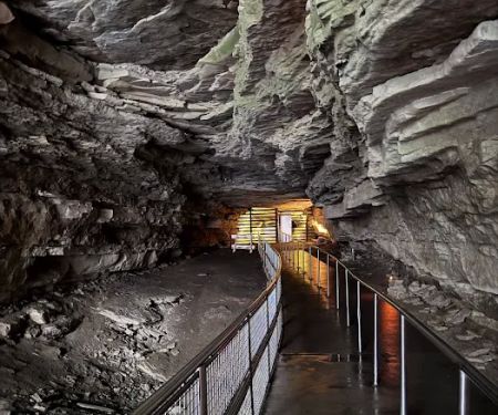 Mammoth Cave Campground