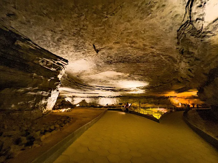 Mammoth Cave Campground 7