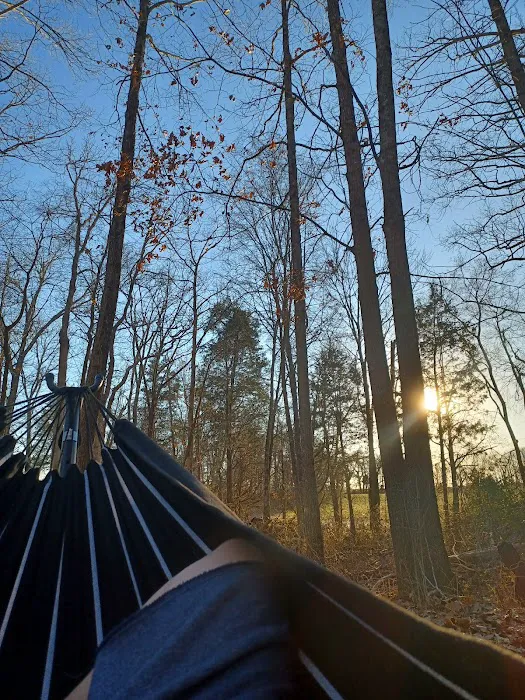 Dixieland Campground 8